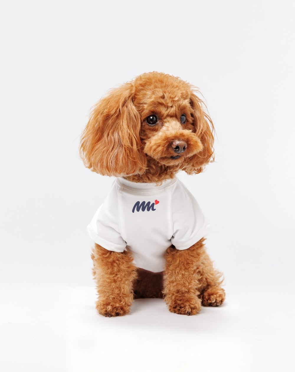muta MARINE – muta Online Store