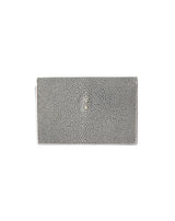 ガルーシャ・カードケース厚型(シルバー)