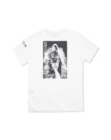 CENTURION BOATS x Safari Lounge x MMS バックプリントTシャツ