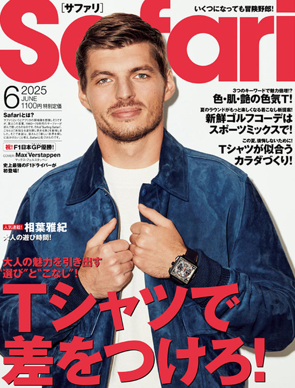 Safari 2025年6月