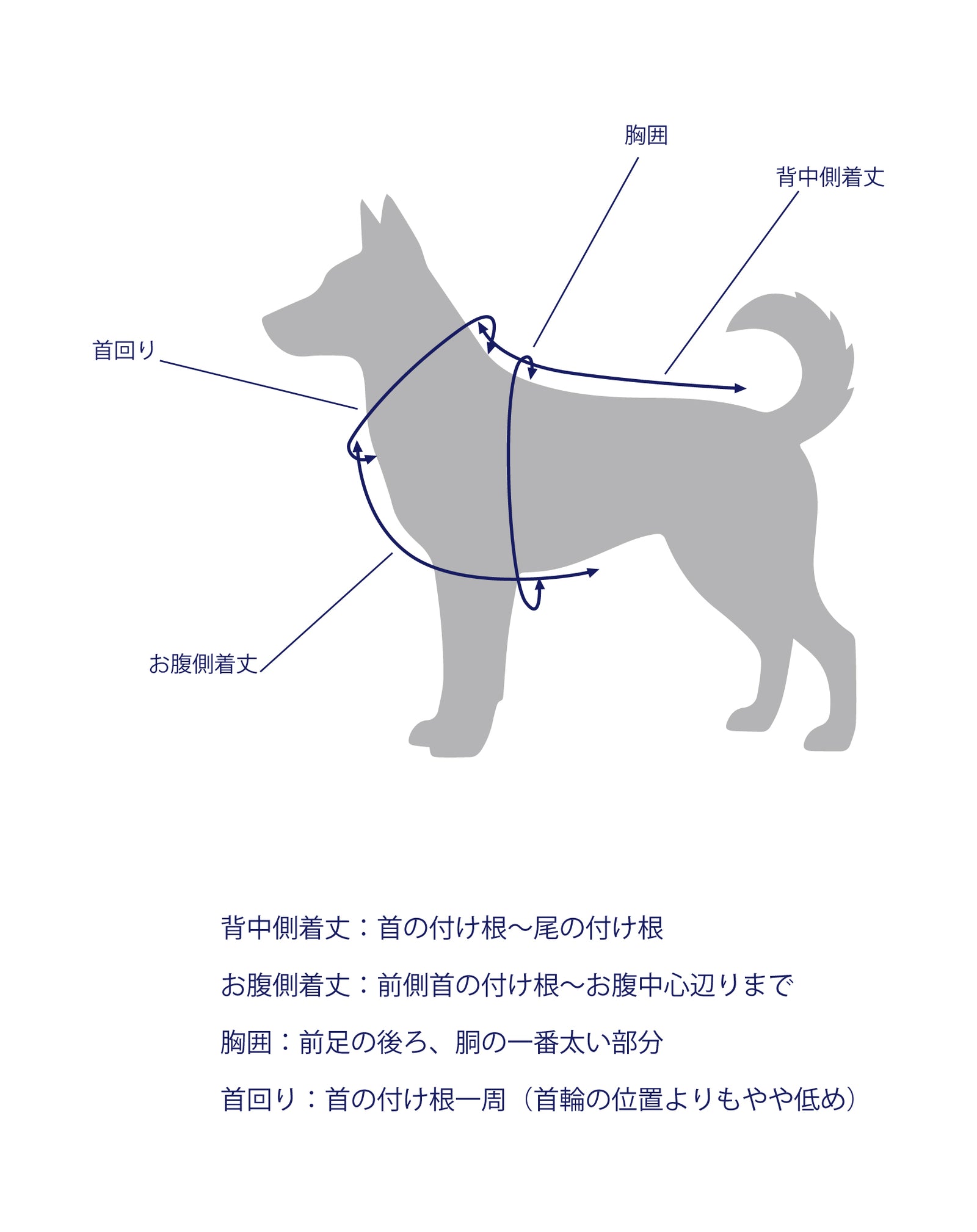 ジップアップパーカー [全2色] – muta Online Store