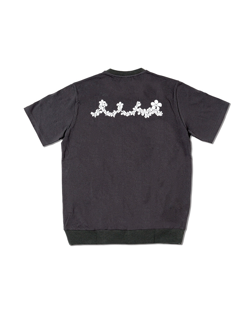 HAWAII FES / WEB］コットンリブTシャツ (プルメリア) [全4色] – muta