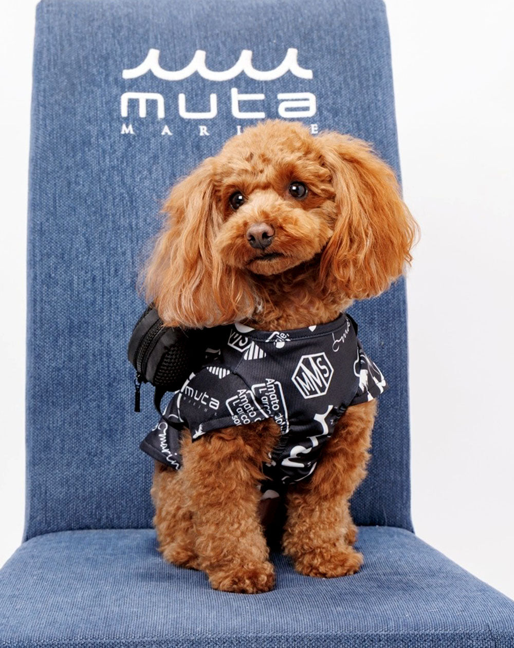 ランダムロゴTシャツ(ポーチ付き) [全2色] – muta Online Store