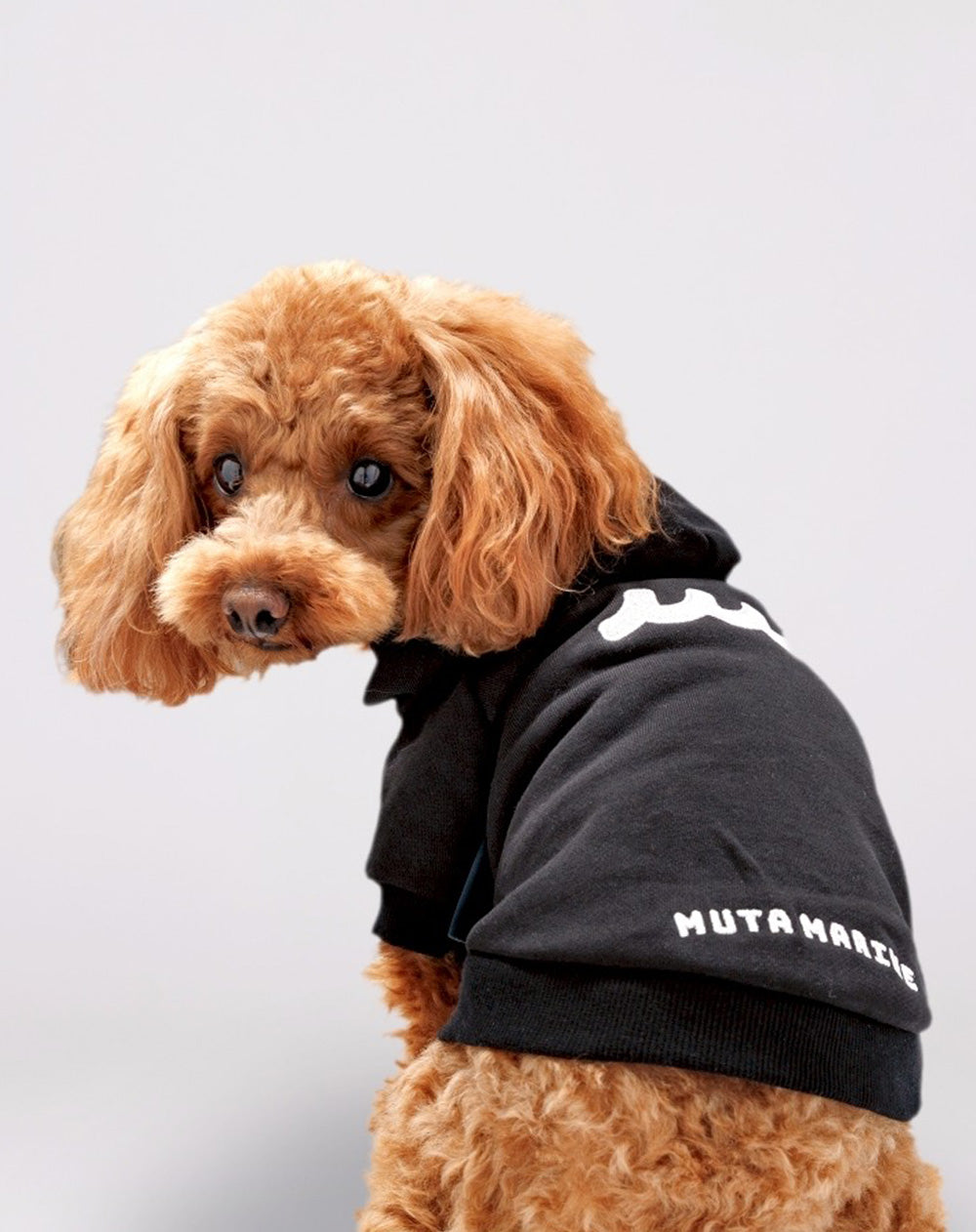 2018年干支ジップパーカー 狼×犬　ゴールド　Mサイズ ジップアップパーカー [全2色] – muta Online Store