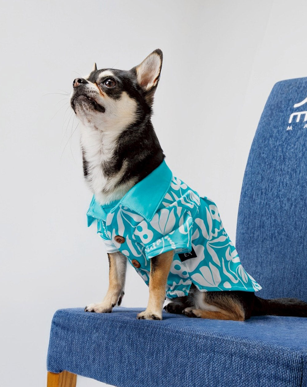 DOG ALOHA SHIRT [全2色] – muta Online Store