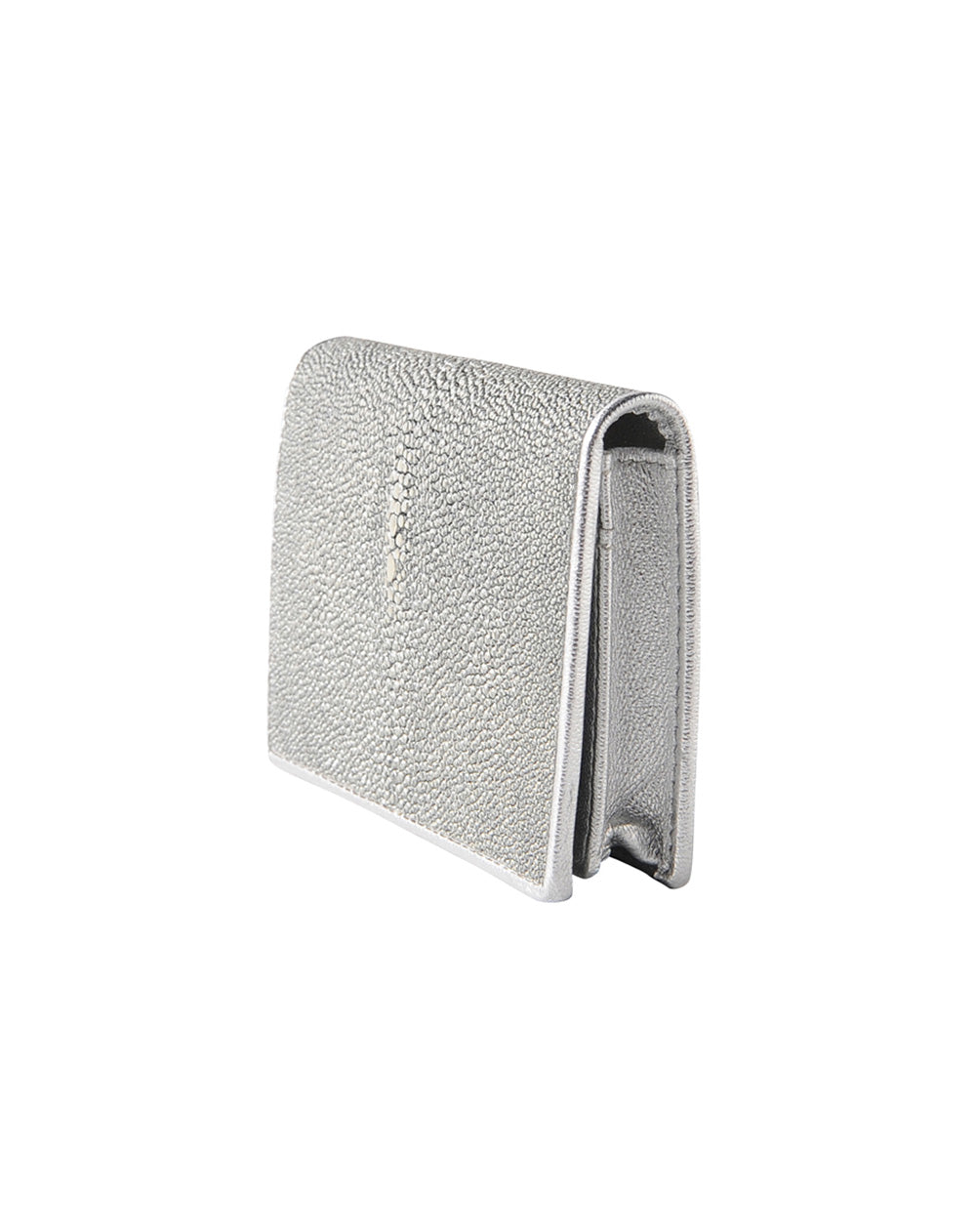 ガルーシャ・カードケース厚型(シルバー) – muta Online Store